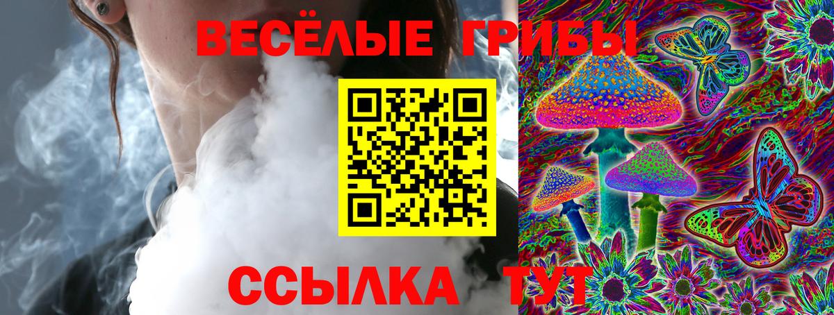 Городец  Галлюциногенные грибы мухоморы  Вход с VPN  Псилоцибиновые грибы Psilocybine cubensis 
