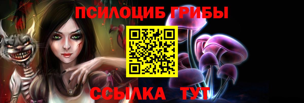 ГАШ Городец